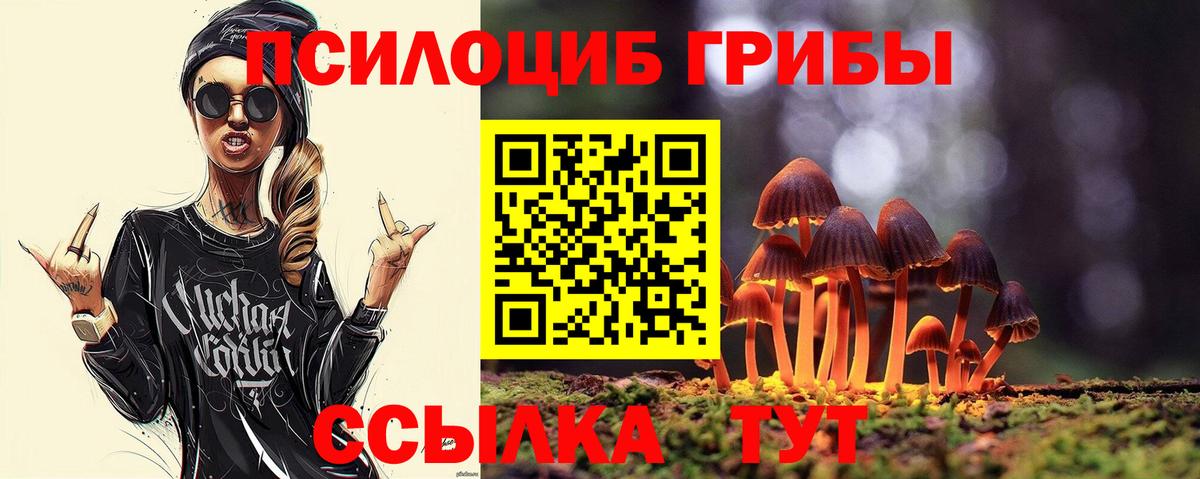 Псилоцибиновые грибы Psilocybine cubensis Бийск